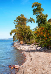 Landscape at Lake Balaton in autumn,Hungary (Fonyod)