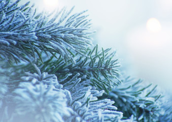 Closeup of Christmas tree with light, snow flake.