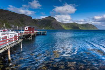 Fiordo con pontile e porticciolo, norvegia in estate