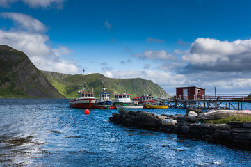 Naklejka premium Fiordo con barche e porticciolo, norvegia in estate