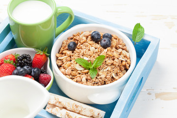 Healthy breakfast set with muesli, berries and milk