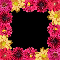 Beautiful floral backdrop of dahlias, chrysanthemums and tsiny  