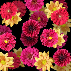 Fototapeta premium Beautiful floral backdrop of dahlias, chrysanthemums and tsiny 