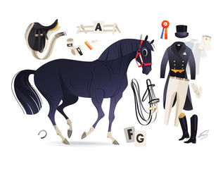 Black horse and dressage riding essentials such as rider clothing and common horse equipment