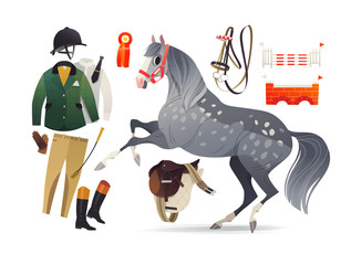 Dapple grey horse with chaser clip pattern, show jumping essential apparel for the rider, common horse equipment such as English saddle and bridle