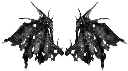 Close up on dragon wings isolated on white background. Cut out. - obrazy, fototapety, plakaty