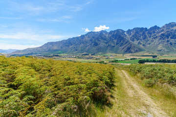 Naklejka premium hiking jacks point track, view of the remarkables, queenstown, new zealand 2