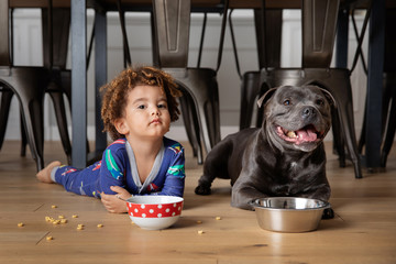 Boy and dog eat together on kitchen floor