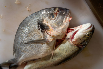 closeup peeled fresh trout and dorado fish