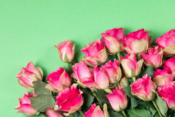 Pink roses are scattered freely on a green background. The place for an inscription