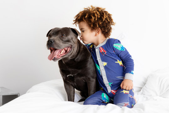 Boy about to kiss dog