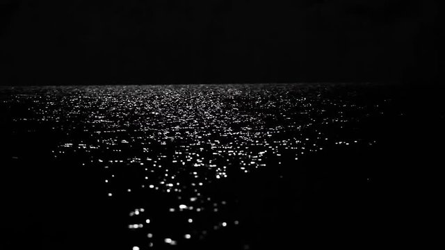 The night sea reflects the bright moonlight