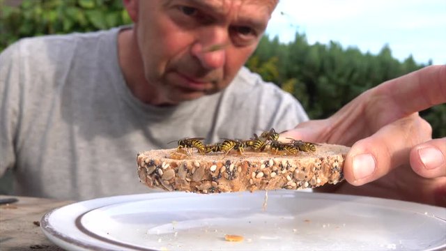 Mann beobachtet Wespen, die st&ouml;ren bei Fr&uuml;hst&uuml;ck im Garten mit Honigbrot