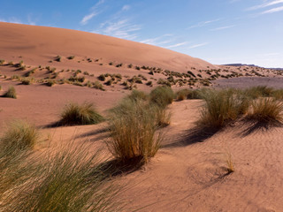 Wanderung durch die Wüste Sahara im Süden von Marokko