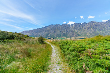 Fototapeta na wymiar hiking jacks point track, view of the remarkables, queenstown, new zealand 3