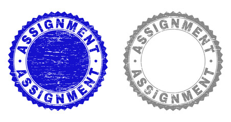 Grunge ASSIGNMENT stamp seals isolated on a white background. Rosette seals with distress texture in blue and gray colors. Vector rubber overlay of ASSIGNMENT label inside round rosette.