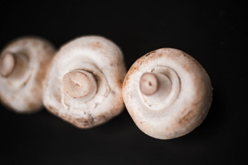 Fototapeta na wymiar Mushrooms champignons on a black background
