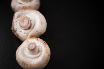 Fototapeta na wymiar Mushrooms champignons on a black background