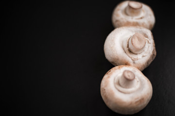 Mushrooms champignons on a black background