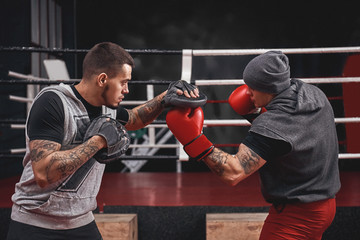 Good uppercut to the paw. Side view of muscular athlete in boxing gloves training on boxing paws while standing in boxing gym - obrazy, fototapety, plakaty