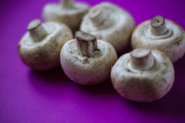 Mushrooms champignons on a violet background