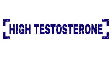 HIGH TESTOSTERONE text seal print with corroded effect. Text tag is placed between corners. Blue vector rubber print of HIGH TESTOSTERONE with corroded texture.
