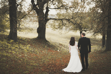 Beautiful young wedding couple is kissing and smiling in the park