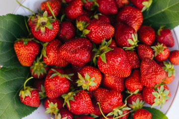 Red strawberries on a white plate. A lot of berries. Summer fruits