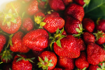 Red strawberries on a white plate. A lot of berries. Summer fruits
