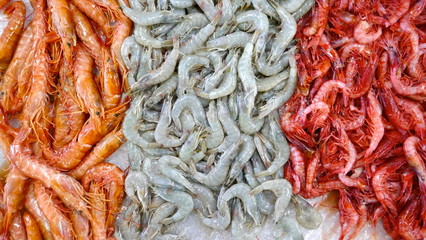 Fresh shrimps at the fish market, ready for sale