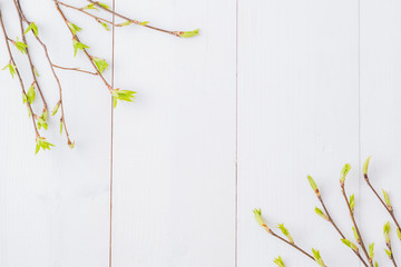 Flat lay composition with  spring branches