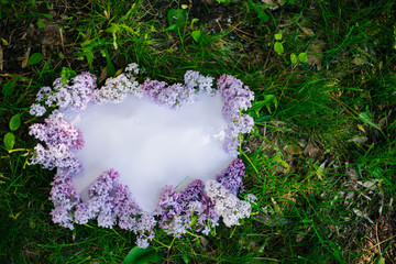 A white leaf on the grass is adorned with lilac flowers. Frame of flowers