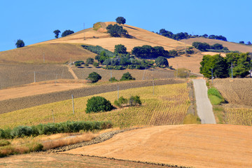 Sunny landscapes in the Molise countryside in  southern Italy.