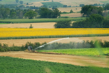 Obraz premium Sunny landscapes in the Molise countryside in southern Italy.