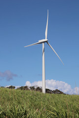 Eoliennes Guadeloupe