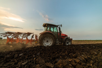 Fototapeta premium Tractor plowing fields