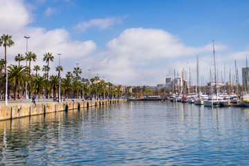 boats in the harbor