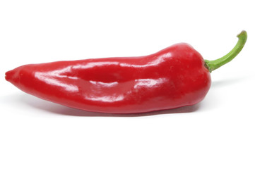Red pepper on white background