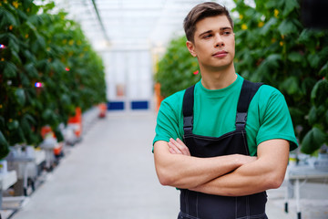 Man working in a greenhouse