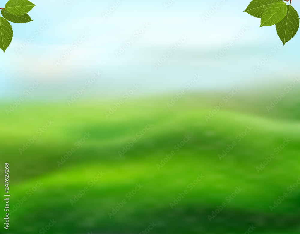 Sticker nature green background with fresh leaves on a blurred background of grass and sky. view with copy s