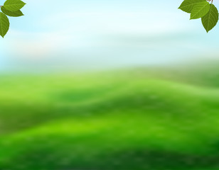 Obraz na płótnie Canvas Nature green background with fresh leaves on a blurred background of grass and sky. View with copy space add text. Vector