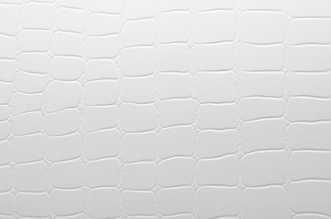 Crocodile skin white leather