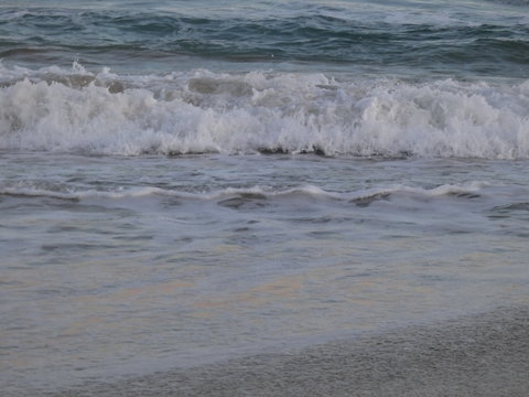 pura vida