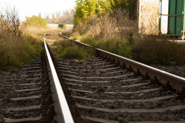 Railway in bushes