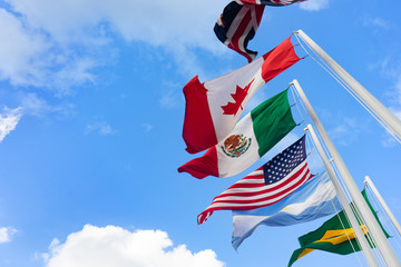 flag's stick with different flags