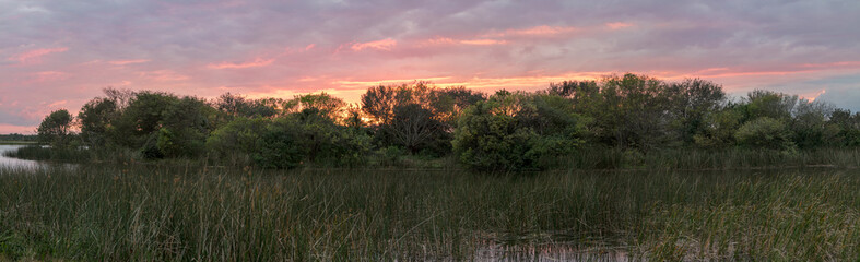 vibrant night in the wetlands pano