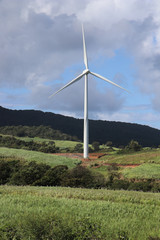 Fototapeta premium Eoliennes Guadeloupe