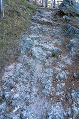 Steiniger Waldweg mit Felsen