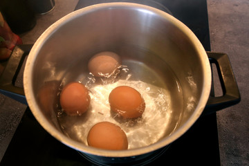 Top view of boiling organic eggs in metal pot into saucepan on electric stove in kitchen. Four chicken eggs in pot with boiling water. Boiling village eggs in hot water. Eggs cooked, high temperature.