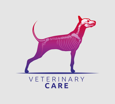Veterinary Care Emblem Design, Bone Scan Dog Care vector illustration